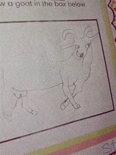 I tried my best o😩😂😂😂#assignmentwork #tiktok #drawings #1000000views #fypage