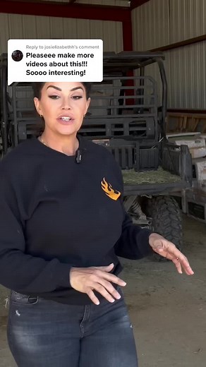 Feeding Tips for Horses: Alfalfa vs. Timothy