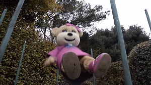 6.5K views · 104 reactions | You've seen the John Lewis Christmas advert...now take a peek at Beverley's very own version. And be sure to 'like' and 'share' our exclusive video to spread some festive cheer this season. #BeverleyHolidays #JohnLewisAdvert #ChristmasIsComing #BeverleyTheBear | Beverley Holidays | Facebook