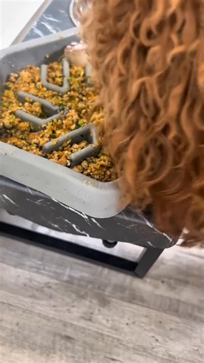 homemade dog recipes by mydogrecipe.com on Instagram: "Monthly Homemade Dog Food Recipe (31–35 Servings) Serving Size: 1 cup per day Yield: About 32–35 cups total Dog weight: 21 pounds Feeding Instructions: Teddy eats 1 cup of homemade fresh food and 1 cup of kibble per day, divided equally between meals. [Protein & Organs] • 9.5 lbs ground chicken • 1.65 lbs chicken gizzards • 1.65 lbs chicken liver • 1.65 lbs chicken hearts • 3 cans sardines in water (no salt) (3.75 oz each) • 8 whole eggs (ba