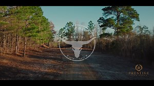 14 reactions | Find an opportunity for true Texas ranch ownership at...