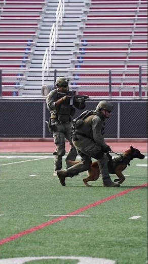 LASD SEB - SWAT Canine Demo