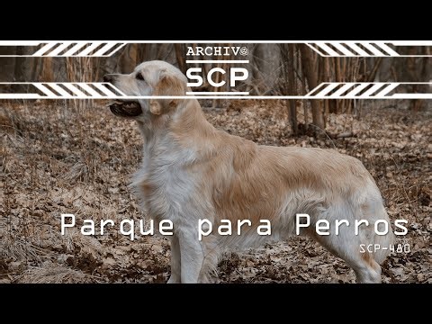 SCP 480: Dog Park - SCP Archive