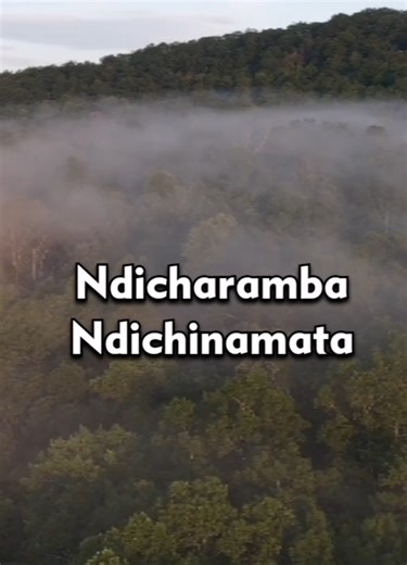 Ndicharamba ndichinamata nyangwe zvikaoma sei. #zimtiktokers🇿🇼🇿🇼🇿🇼 #zimgospel