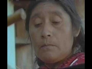 Microsoft Encarta 95 - Natives (1995)