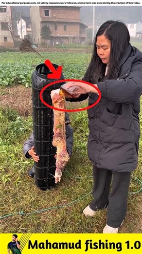 What fish did the two siblings catch using meat?🐟#viralvideo #facts #fishinggear #fishinglife #fish
