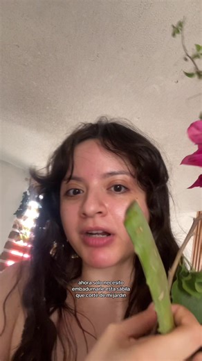 Plantando Bugambilia: ¡Ahora Sí!