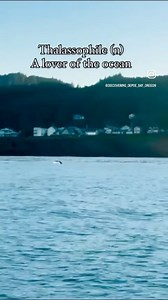 Welcome to the Whale Watching Capital of the Oregon Coast… 🩵 Depoe Bay | Discovering Depoe Bay Oregon