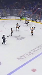 Thank you, Johnstown. | Greenville Swamp Rabbits