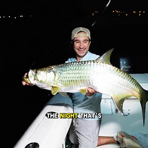 GIANT Shrimp Netting | The Fish Guys