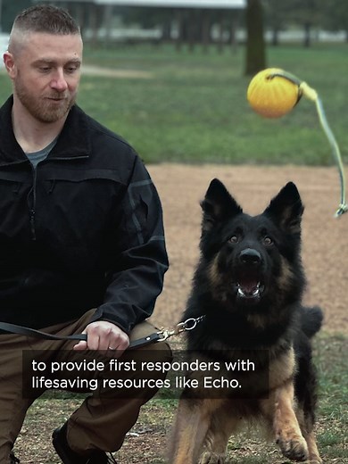 Meet K9 Echo: The Latest Lifesaving Donation from Firehouse Subs Public Safety Foundation