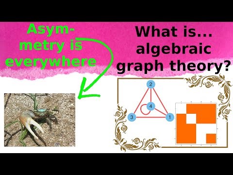 What are...symmetries of random graphs?