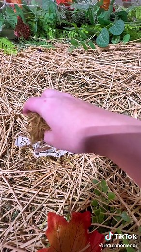 Have you ever wondered how human composting works? #humancomposting #greenfuneral #terramation #cremation #funeralhome #sustainable #embalming