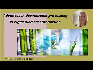 Downstream processing of biodiesel production with algae