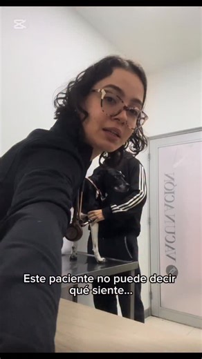 Neurología Veterinaria Camila Carmona on Instagram: "🧠🐾 Examen neurológico en pequeños animales El examen neurológico es una herramienta clínica fundamental para la localización de lesiones del sistema nervioso. A través de la observación y la evaluación sistemática del paciente es posible definir neuroanatomía, orientar el diagnóstico y establecer el plan diagnóstico-terapéutico. 🔍 ¿Qué evaluamos? ▪️ Estado mental y comportamiento Alteraciones sugieren compromiso cortical o del sistema retic