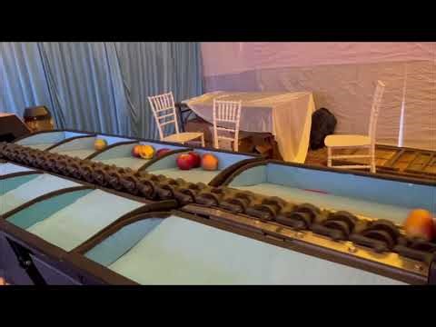 AI APPLE GRADING MACHINE SKUAST 2026