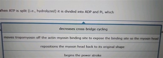 When ATP is split (i.e., hydrolyzed) it is divided into ADP and... | Filo