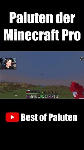 Paluten der Minecraft Pro