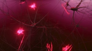 Animation Of Activity Of Neurons Synapses Stock Motion Graphics SBV-348363860 - Storyblocks