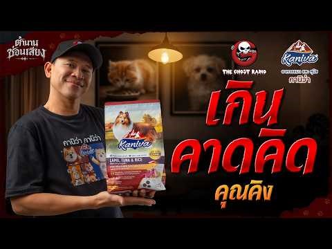 Beyond Expectations • Mr. King | Hidden Voice Legend | Sponsored by Kaniva Cat and Dog Food