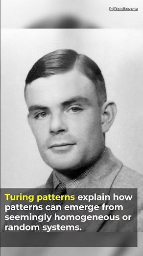 Patterns in Nature Explained by Math!🐆 Alan Turing, Turing Patterns #shorts #maths #biology