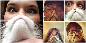 Le "Cat Bearding", la dernière mode sur Instagram - Le meilleur (et le pire) du web, épisode 35