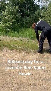 150K views · 3.7K reactions | A concerned citizen brought us a young,...