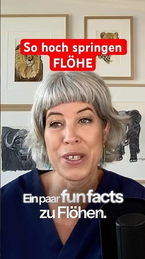 🦠🤯 Fleas – little jumpers with mega power! #fleas #interestingknowledge