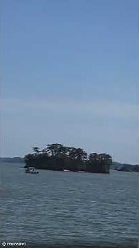 １分松島観光案内～遊覧船船着場→福浦橋→五大堂 #旅行 #松島 #宮城県 #旅行vlog #shorts #神社 #海岸 #おでかけvlog #船 #寺院 #おでかけvlog#船船舶