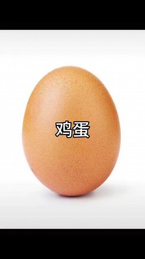 Unique Egg Designs: A Visual Journey