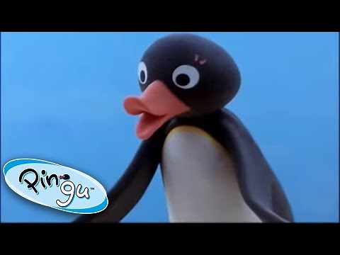 Pingu and the Mix Up Pingu Official Channel