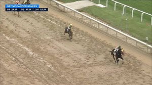 #2 NIMITZ CLASS ($2.40) dominates the $100,000 Native Dancer Stakes at Laurel Park. The 4yo son of Munnings has now won 9 of 15 career races. Jevian Toledo was in the irons for Bruce Kravets. Watch more on @FanDuelTV and wager at TVG.com. | FanDuel Racing