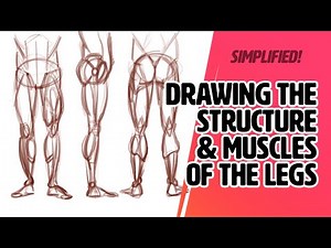 How to Draw the Muscles + Structure of the Legs