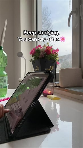 Keep Studying: Motivation for Learning Success