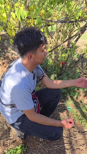 Todos merecen escuchar esta canción ✨#heyvuela #elsoldadomusical #viral