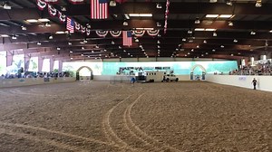 11K views · 980 reactions | In my 86th year I couldn't be happier working with horses! This week, for example, I demonstrated on this video to a lovely crowd at Western States Expo, I will film Pat and I riding reiners on our 65th anniversary this week, and I will host and teach at TheMovement2021.com the 18th-19th-20th. Join me in Solvang - or catch me if you can! | Monty Roberts | Facebook