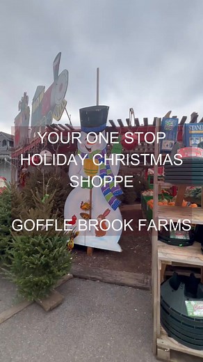The Essence of a Fraser Fir #shoplocalparamus #shoplocalridgewoodnj #shoplocalwyckoff #shoplocalnorthernnj #shoplocalbergencounty #shoplocalnj #ridgewoodmoms #ridgewoodnj | Goffle Brook Farm & Garden Center