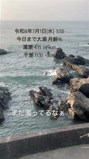令和8年7月1日(水) 5:55 今日まで大潮 月齢16 満潮 4:11 149cm 干潮 11:31 -3cm まだ濁ってるなぁ