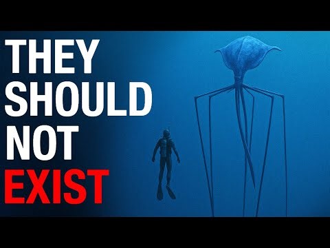 The Strangest Sea Creatures Scientists Have Ever Found