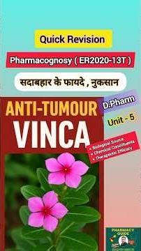 Vinca biological source chemical constituents therapeutic Efficacy advantage disadvantages