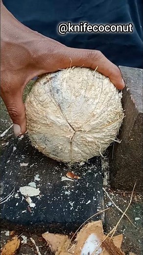 easy and fast way to remove coconut from its shell