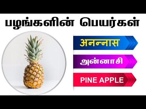 FRUITS Names in English, Hindi & Tamil | பழங்கள் | Basic Learning Video for Beginners
