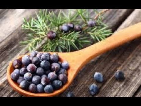 Bacche di ginepro