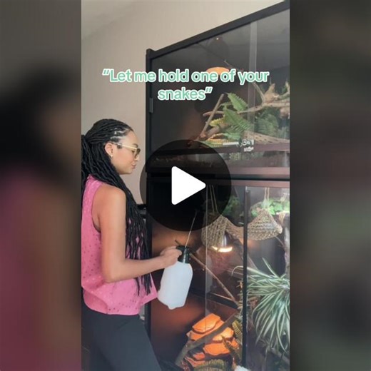 Not allowing everyone to handle your snake isnt being mean. As snake owners, it is our responsibility to not put our animals at high risks. This means asking ourselves “how is this person likely to react if my snake feels unsafe and displays sudden defensive behavior?” “is this person likely to drop my snake out of fear of quick movements?” “Did this person clean their hands beforehand????” These questions help you to prioritize the animal before satisfying a friend! Teaching someone how to hand