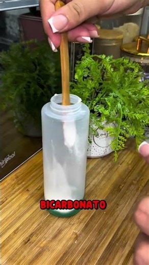 COMO LIMPIAR EL INODORO