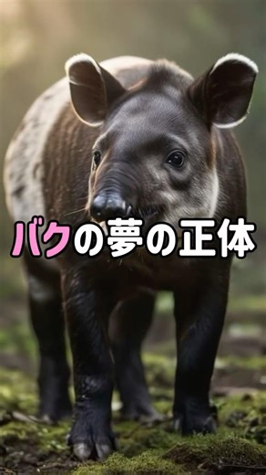 バクの夢の正体 #動物雑学 #バク