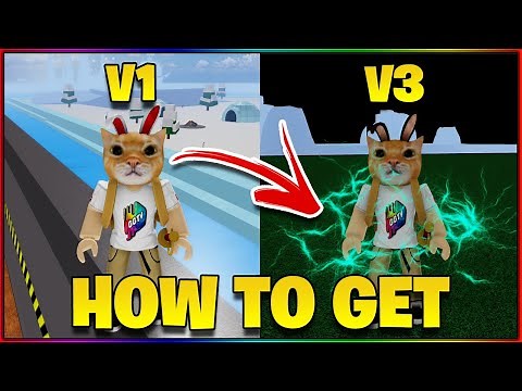 How to get MINK V2 and V3 in BLOX FRUITS (Flower Locations) | Roblox Blox Fruits