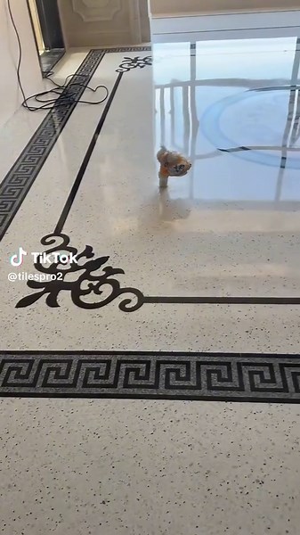 Innovative Chips Floor Design Ideas for Home Renovation