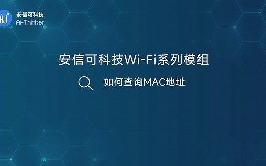 如何查询MAC地址？