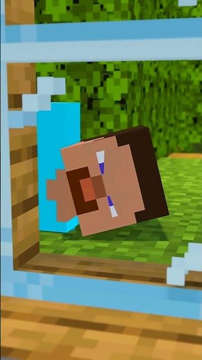 The hidden side of the villagers #minecraft
